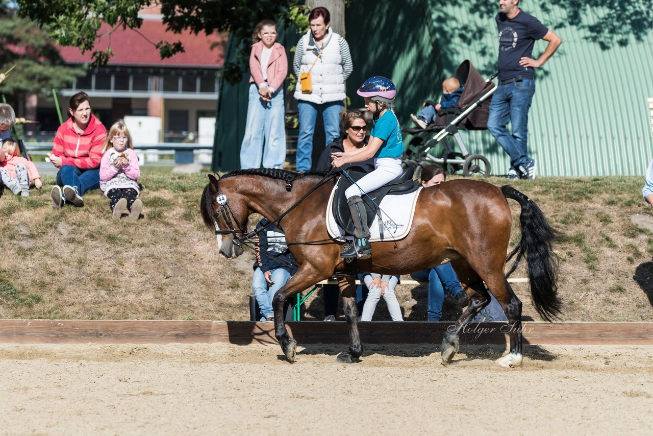 Bild 22 - Pony Akademie Turnier